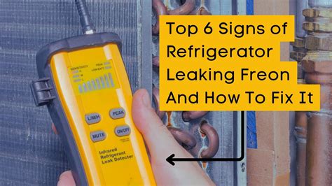 refrigerator leaking gas|Refrigerator Freon Leak: Detect & Fix In Under 20 Minutes